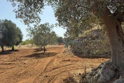 Farm hus i Ostuni, Brindisi, Ostuni - € 85.000 | Ref: 172956 - foto 19